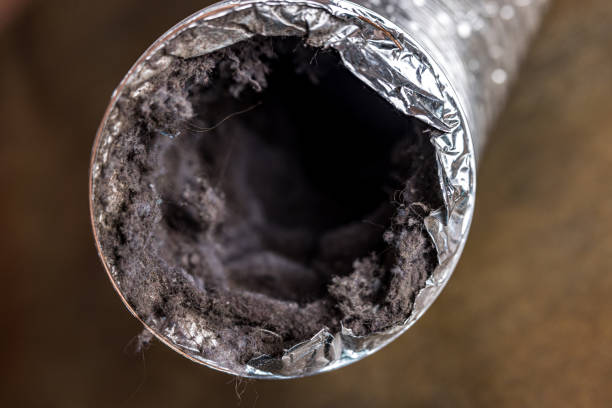 Best Professional Duct Cleaning Services  in Progress, PA